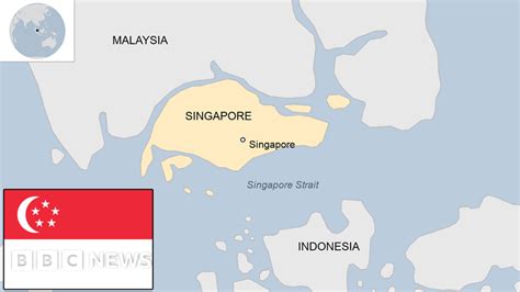 Singapore country profile .